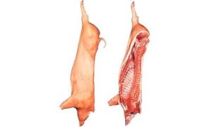 Sow Stall Free Pork Wholesale Butcher Brisbane North