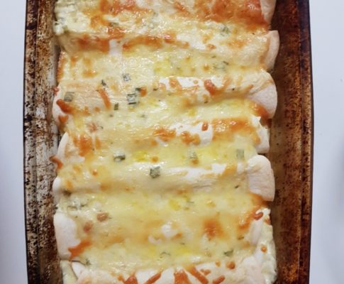 Creamy Chicken Enchiladas
